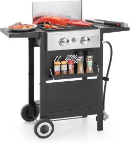 Captiva Designs 4-Burner Propane Gas BBQ Grill with Side Burner & Porcelain-Enameled Cast Iron Grates, 42,000 BTU Output (Color: 2-Burner Grill)