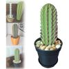 Funny Toothpick Dispenser 117 Holes Easy Access Toothpick Holder Dispenser for People Who Can't Keep Plants Alive Decor